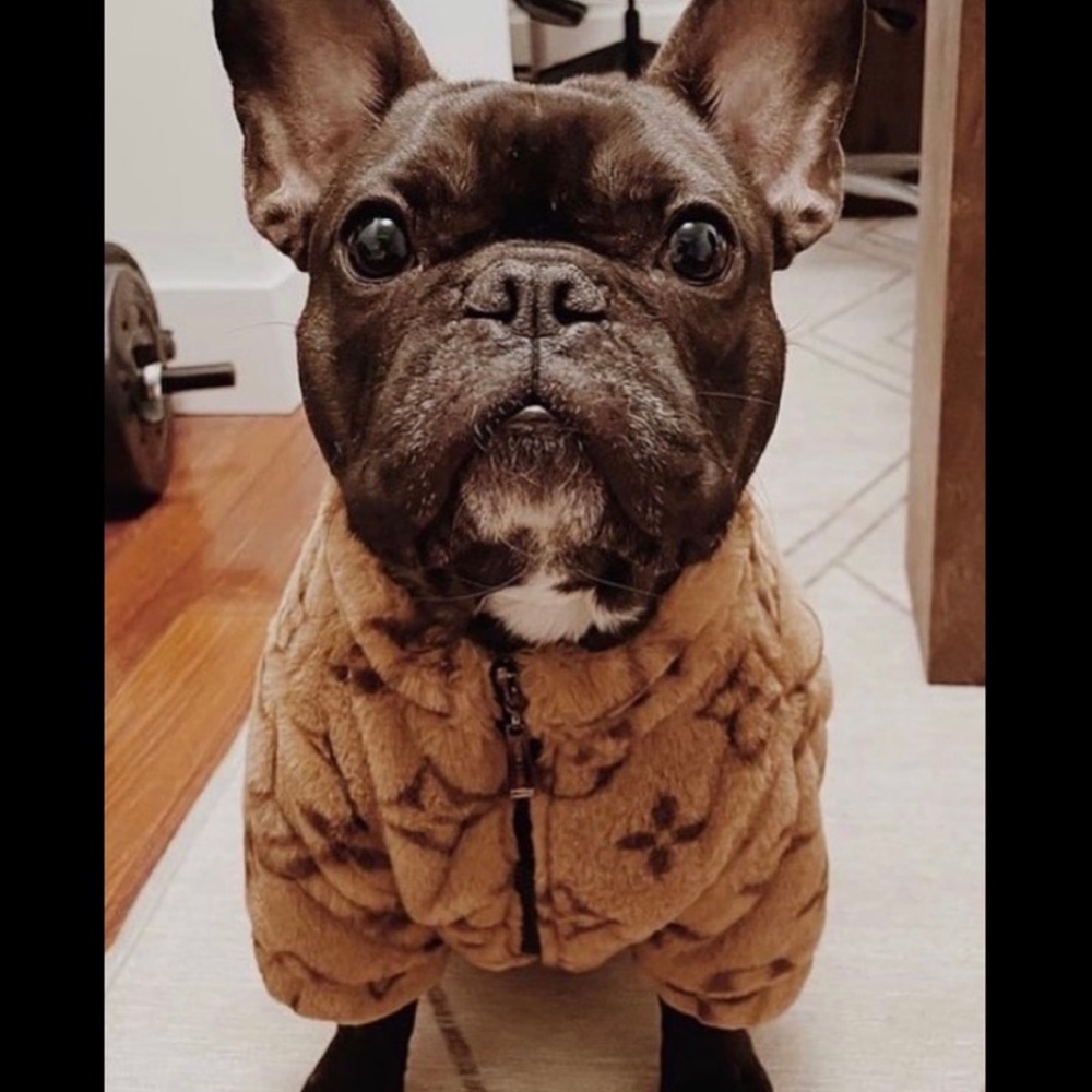 NEW 🐾 designer doggie jacket